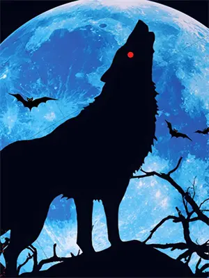 第七次未通电话